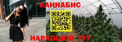 гидра Донецк