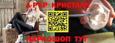 СК Донской
